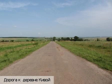 Кивой