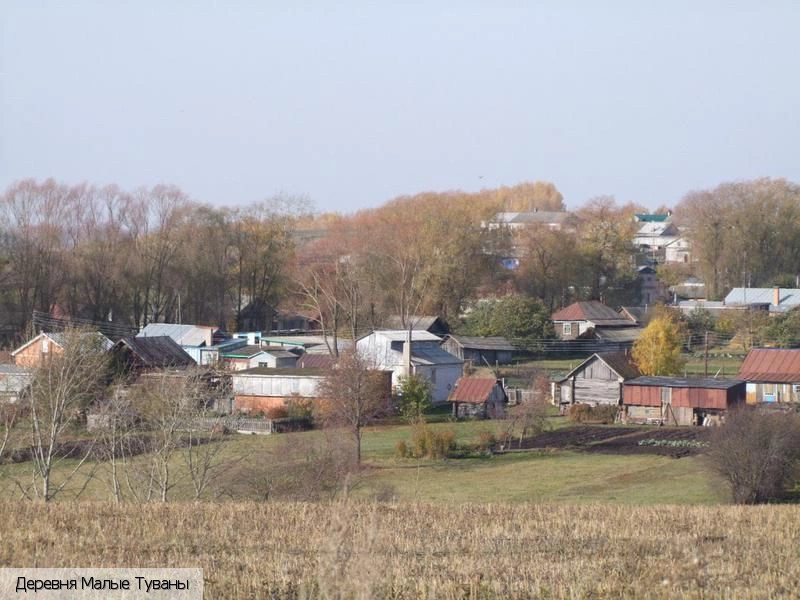 Малые Туваны (Аликовский район)