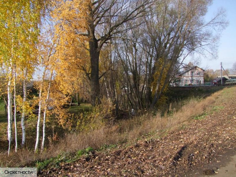 Павлушкино