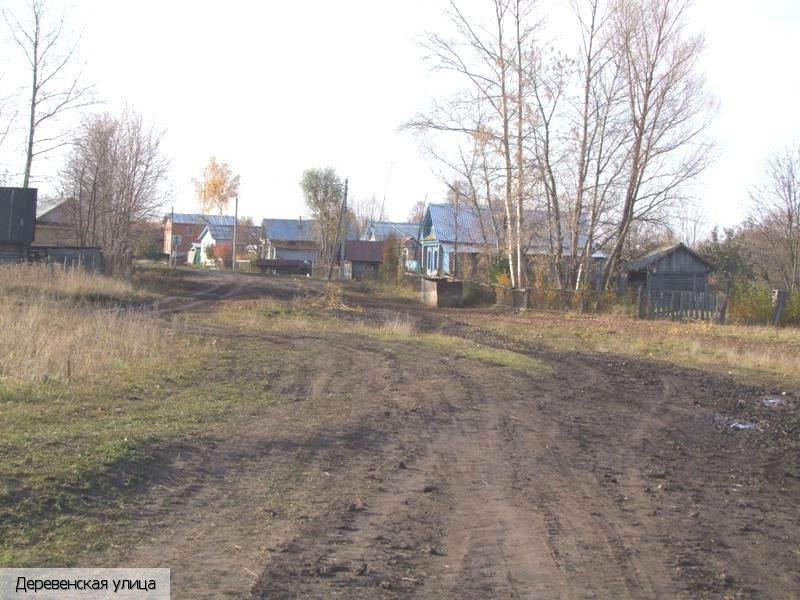 Павлушкино