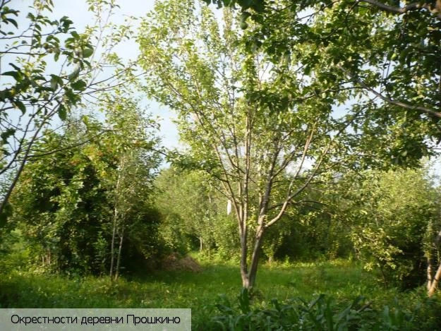 Аликовский район