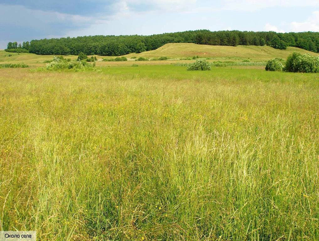 Раскильдино