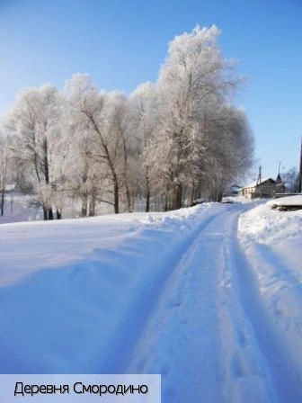 Смородино