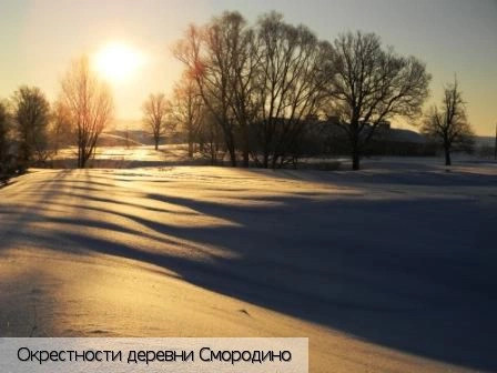 Смородино