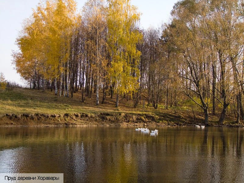 Хоравары