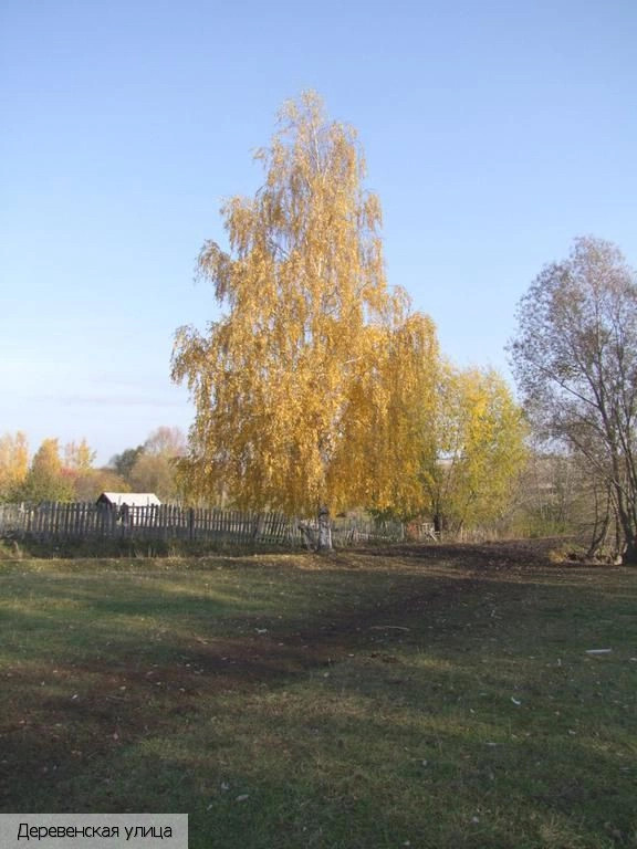 Хоравары