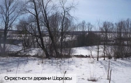 Шоркасы (Чувашско-Сорминское с.п.)