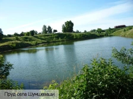 Шумшеваши село