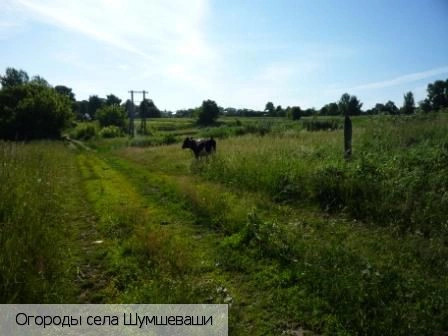 Шумшеваши село