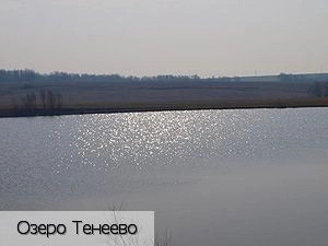 Эренары