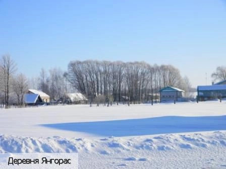 Янгорас