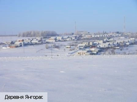 Янгорас