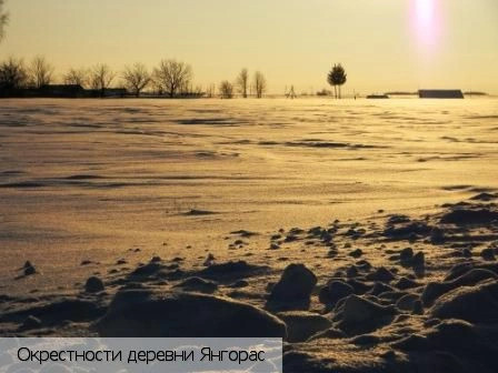 Янгорас