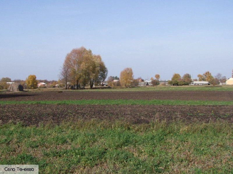 Тенеево село (Аликовский р-н)