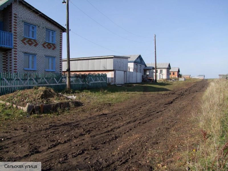 Тенеево село (Аликовский р-н)