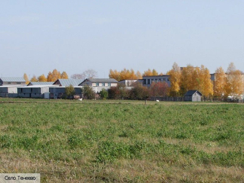 Тенеево село (Аликовский р-н)
