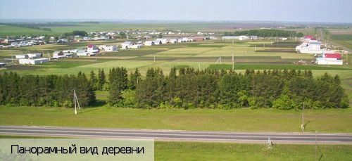 Батыревский район