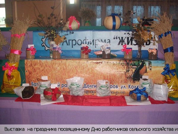 Долгий Остров деревня