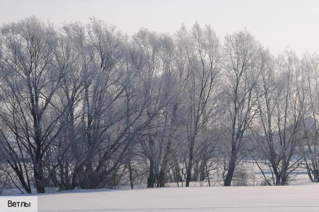 Норваш-Шигали село