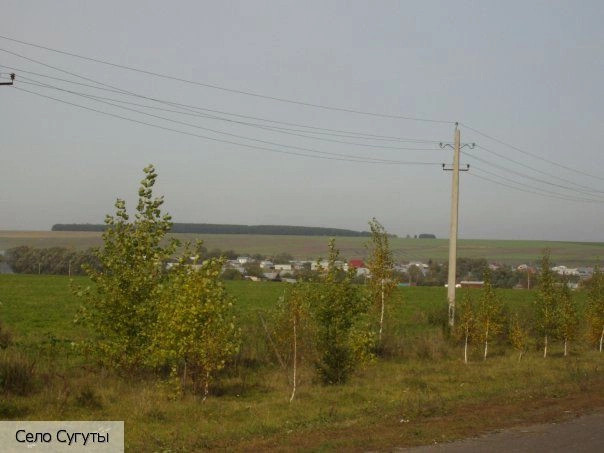 Батыревский район
