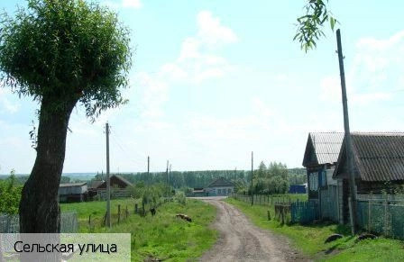 Первомайское село (Батыревский р-н)