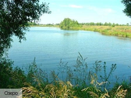 Первомайское село (Батыревский р-н)