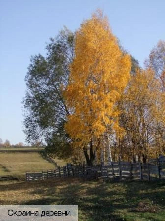 Малдыкасы деревня