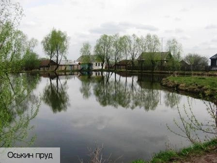Орауши село