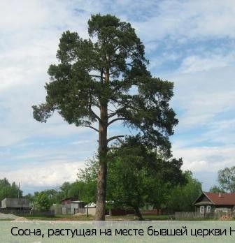 Орауши село
