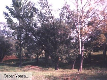 Орауши село