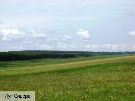 Орауши село