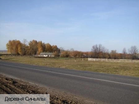Синьялы деревня