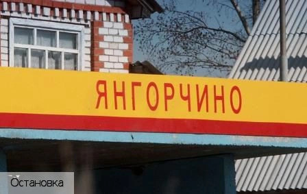 Янгорчино