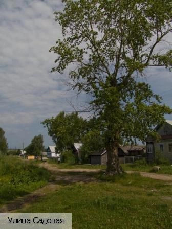 Буртасы деревня (Вурнарский р-н)