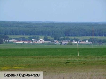 Вурнарский район