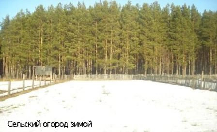 Калинино село (Вурнарский р-н)