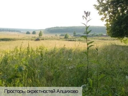 Алшихово поселок