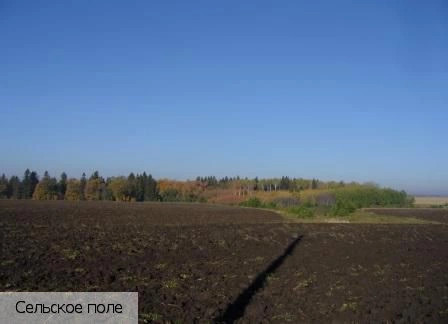 Новое Чурашево село