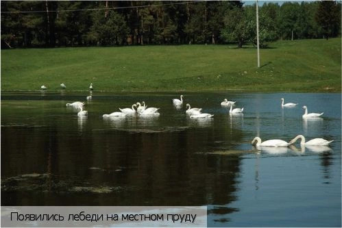 Андреевка деревня (Ибресинский р-н)