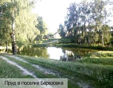 Березовка поселок (Ибресинский р-н)