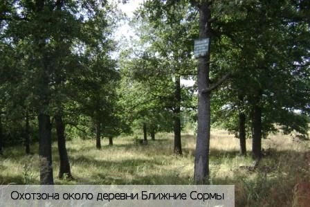 Ближние Сормы деревня