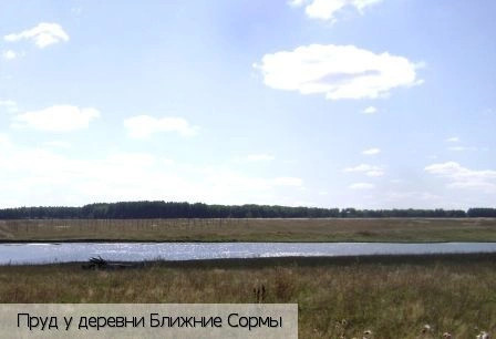 Ближние Сормы деревня