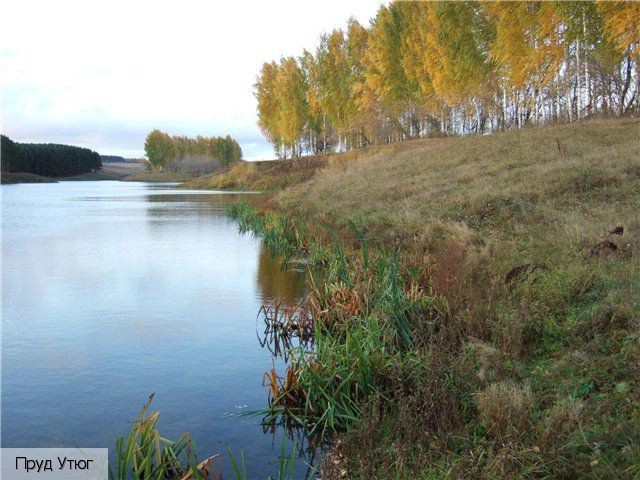Канашский район