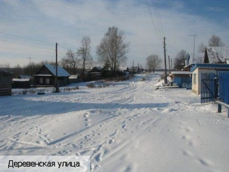 Канашский район