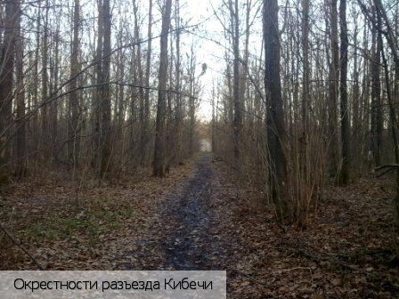 Канашский район