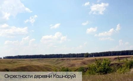 Кошноруй деревня