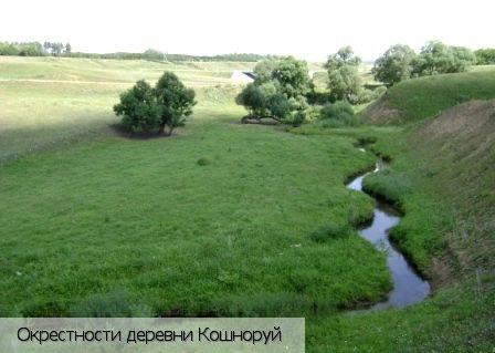 Кошноруй деревня