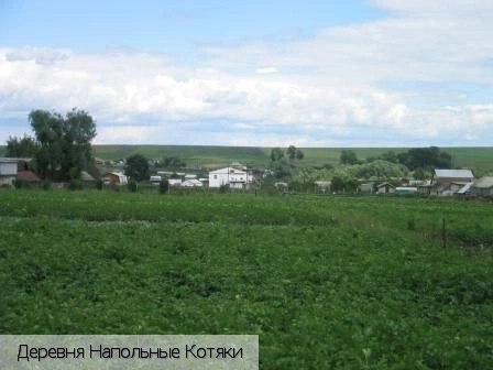 Напольные Котяки деревня