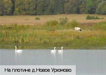 Новое Урюмово деревня