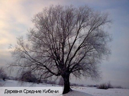 Средние Кибечи деревня